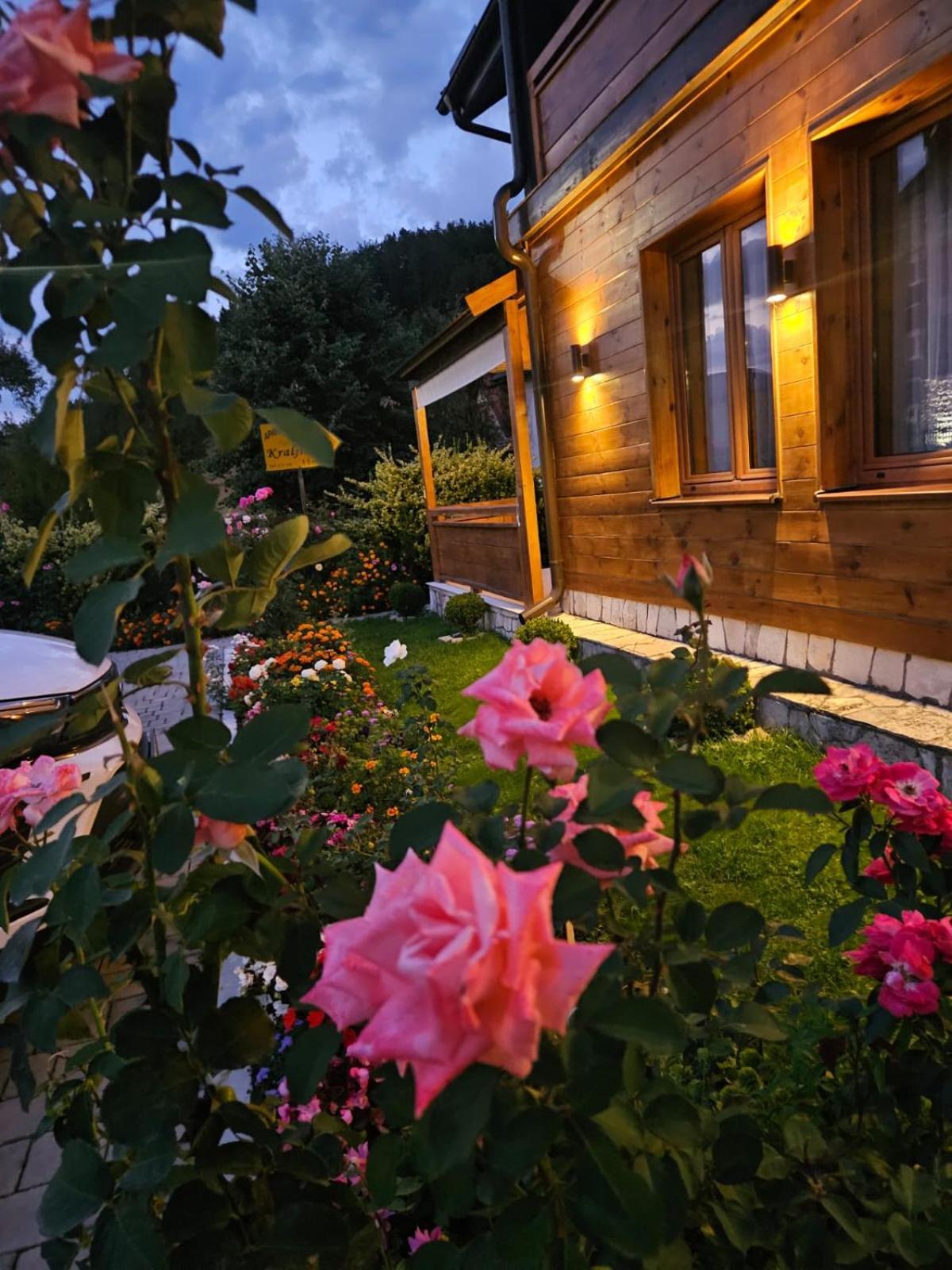 Guesthouse Sandra Kolašin Extérieur photo